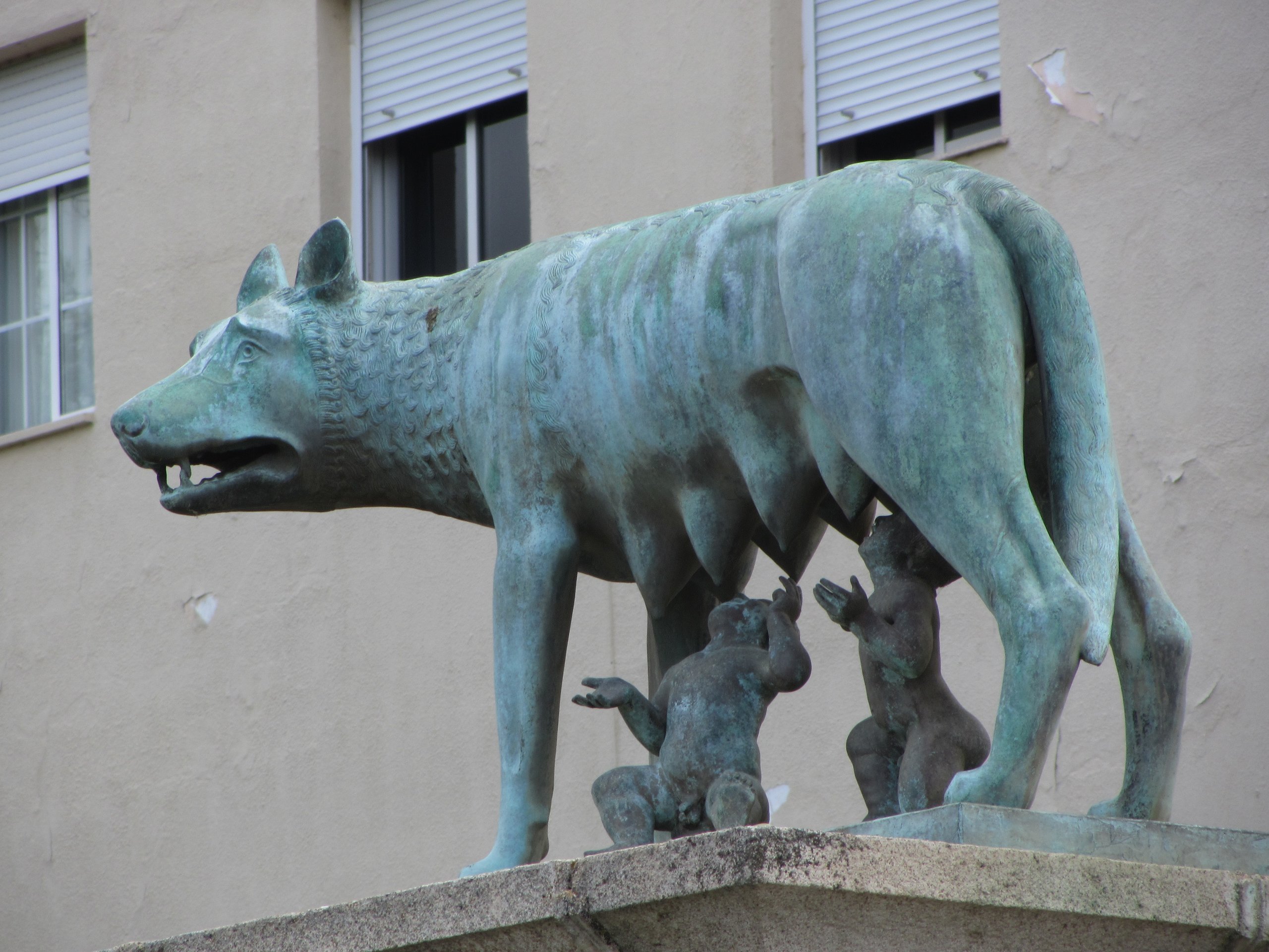Mérida Loba 1